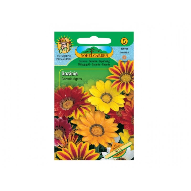 Gazania rigens Mélange
