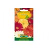 Gerbera Blandning