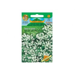 Gipsówka do suszenia White