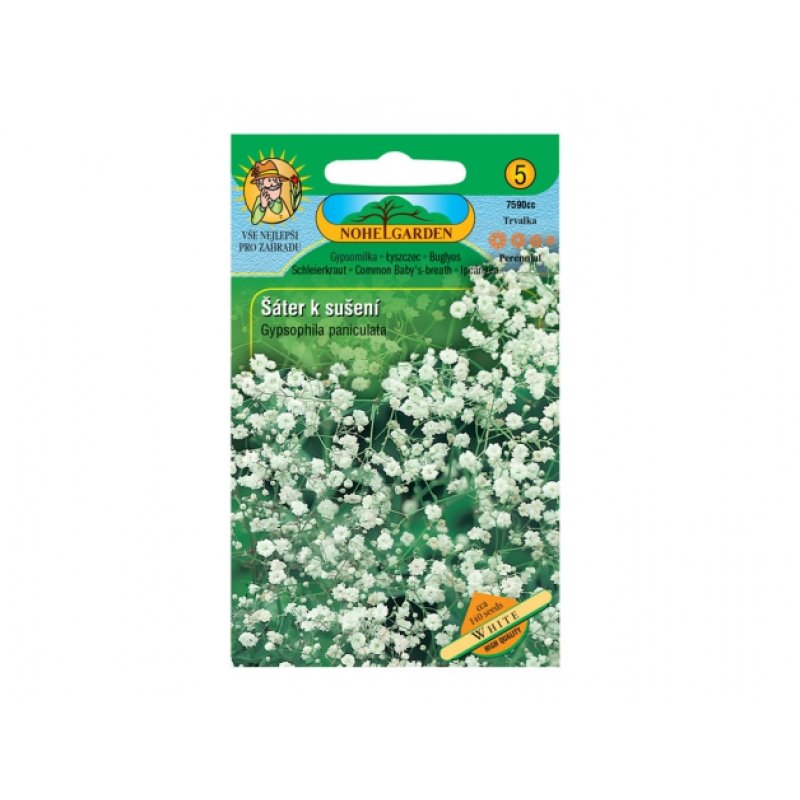 Gypsophile pour séchage White