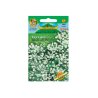 Gipskruid voor droogbloemen White