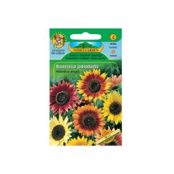 Girasol anual simple Mix