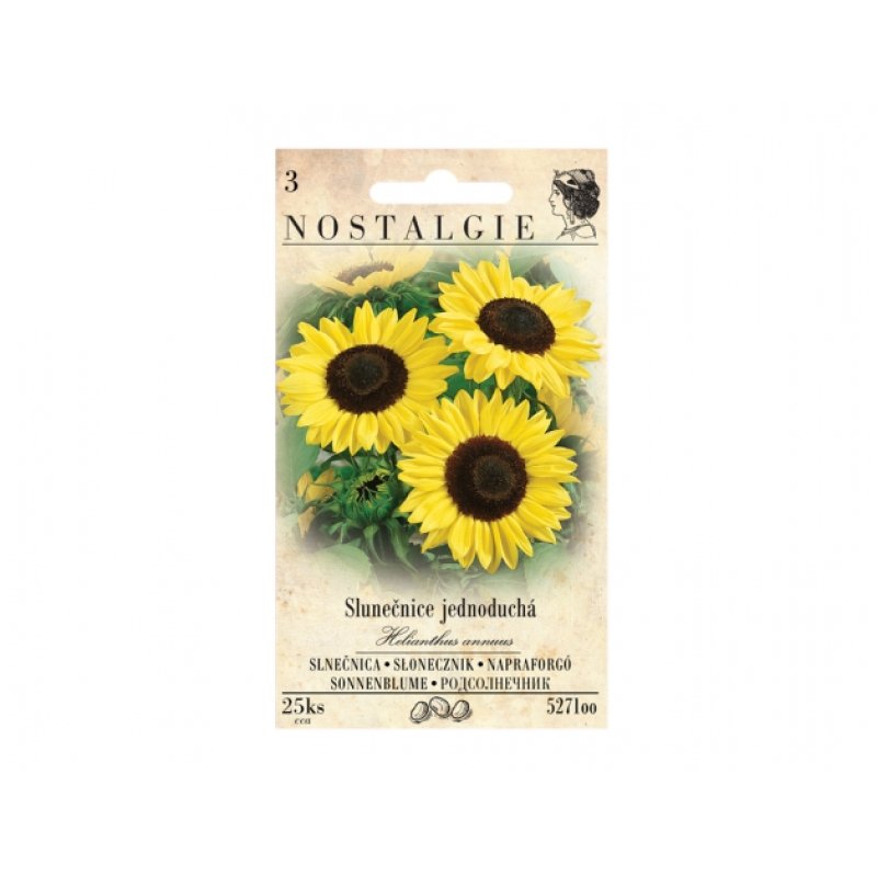 Common Sunflower, 25 seeds