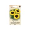 Girasol común, 25 semillas
