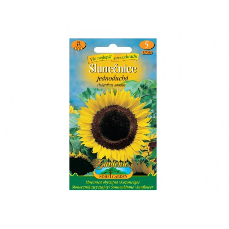 Sonnenblume, 15 Samen