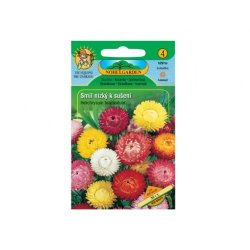 Helichrysum bracteatum pitic pentru uscare Mix