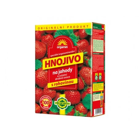 AG Biomin - Dünger für Erdbeeren 1kg