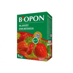 BIOPON Fragole 1kg
