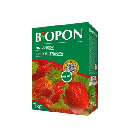 BIOPON Erdbeeren 1kg