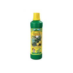 NG Special KLH 500 ml