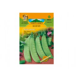Pisello dolce Legumes