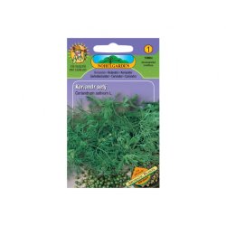 Koriander Aromatic plants