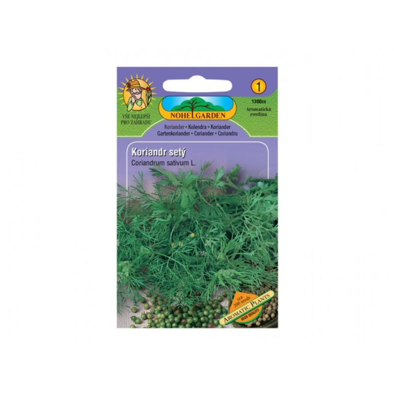 Koriander Aromatic plants