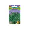 Koriander Aromatic plants