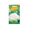 Cvjetača rana Beta