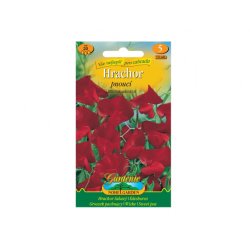Cicerchia rampicante - rosso