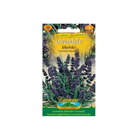 Lavender officinalis