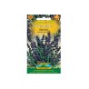 Lavanda officinalis