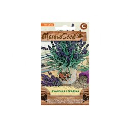 Echte lavendel