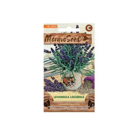 Lavande officinale