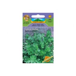Livèche officinale