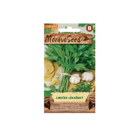 Livèche officinale