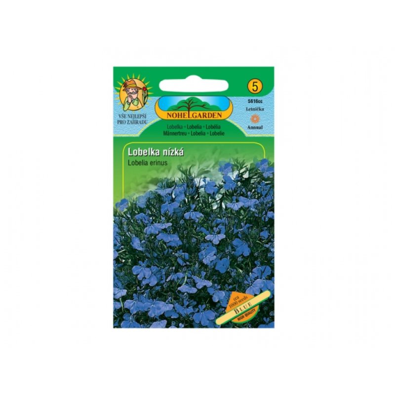 Lobelia erinus - plava
