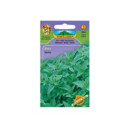Menthe poivrée