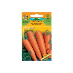 Mrkva kasna Tinga