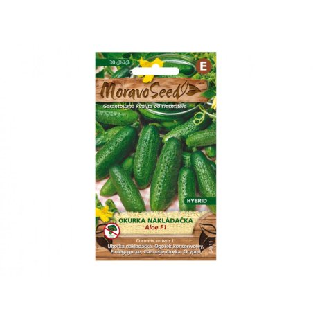 Concombre de conserve Aloe F1