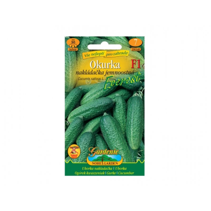 Cornichon à piquants fins Everest F1