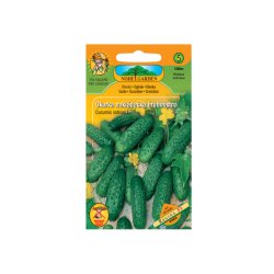 Concombre cornichon à gros piquants Regina F1