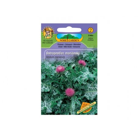 Maarianohdake Medicinal herbs