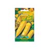 Paprika banaanin tyyppi Corno di toro giallo