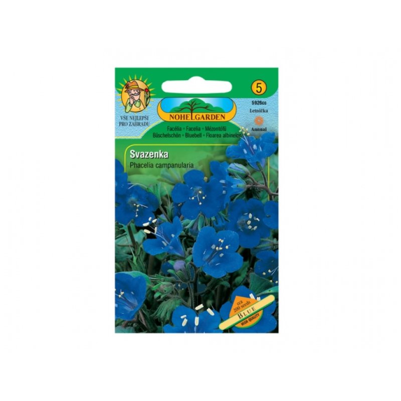 Phacelia campanularia - Facelia azul