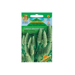 Phalaris herbe décorative - 120 graines