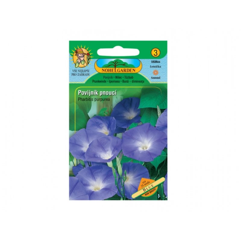 Kletternde Prunkwinde Blue