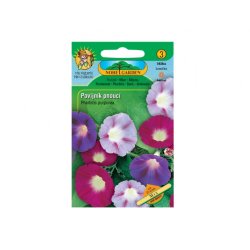 Pharbitis purpurea - ipomea púrpura