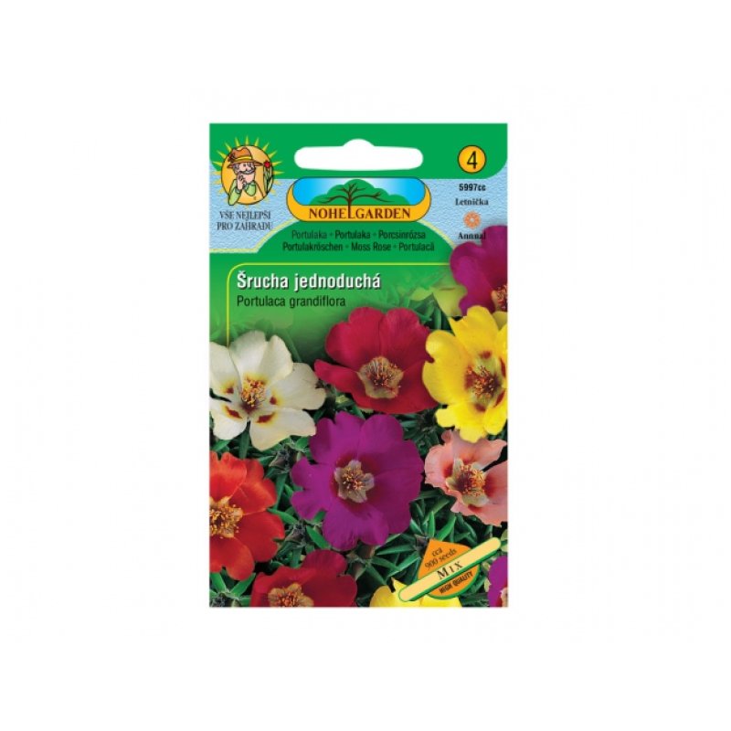 Portulaca a fiore grande semplice Mix