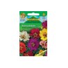 Portulaca grandiflora simple Mix