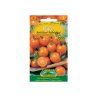Buschtomaten für Balkone Venus