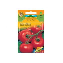 Tomate arbustive Fruit vegetables