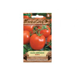 Buschtomate Galera
