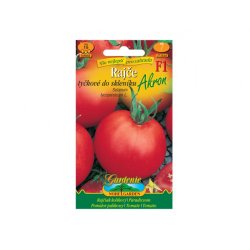 Stabiltomaten für das Gewächshaus Akron F1