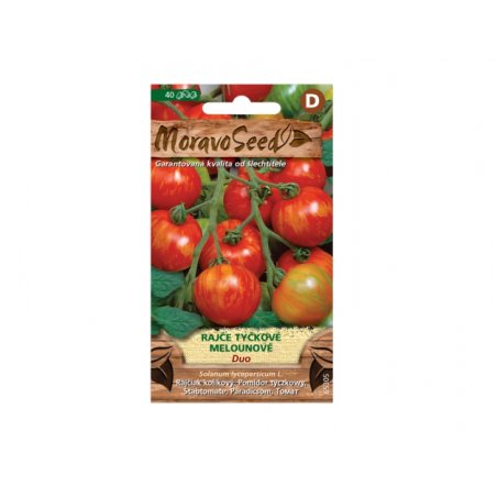 Висок домат динеобразен Duo