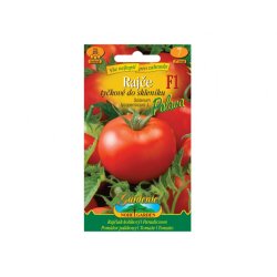 Tomate à tuteurer Palava F1