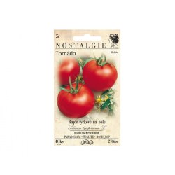 Tomato stake TORNADO F1 field