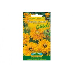 Rudbeckia jaune-orangé - Goldilocks