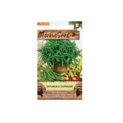 Bohnenkraut