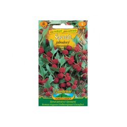 Spinaci alle fragole